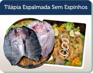 Til�pia espalmada sem espinho