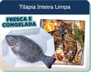 Til�pia inteira limpa